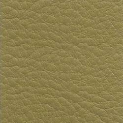 Oliv SETA 9053
