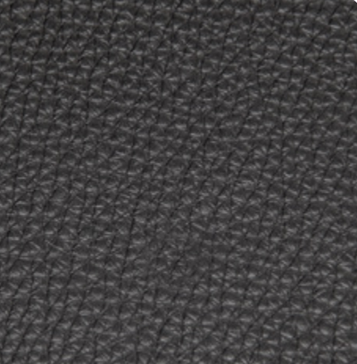 Black Leather (CANSAS 41436)