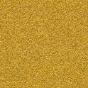 Senf BOUCLÉ ​​006