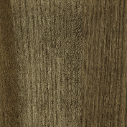 Ulme (Johorina Pigment)