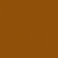 Cuir Cognac (METROPOLITAN 500)
