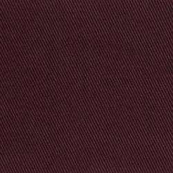 Burgund (BERBERIS 019)