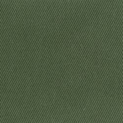 Grün (BERBERIS 026)