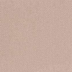Hellrosa (BERBERIS 041)