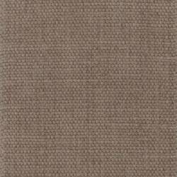 Braun (BEGONIA 640)