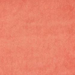 Rot (ELODEA 1014)