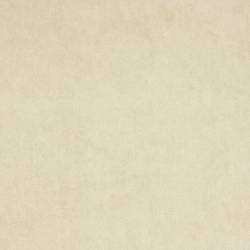 Hellbeige (ELODEA 1024)