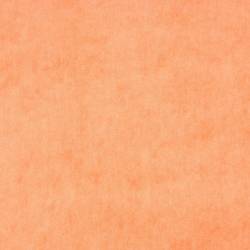 Hellorange (ELODEA 1030)