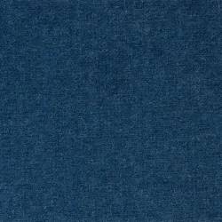 Blau (PETUNIA 105)