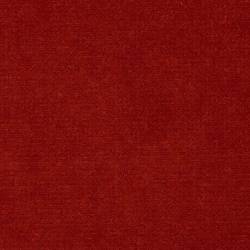 Rot (PETUNIA 115)