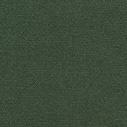 Waldgrün (PRIMULA 510)