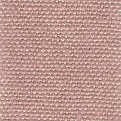 Rosa (PERVINCA 11)