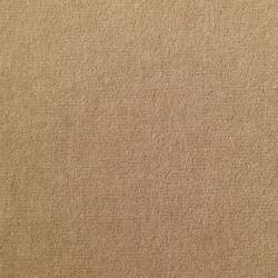 Beige (TATE 17)