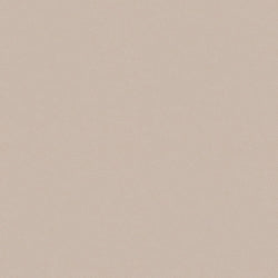 Beige Leder (TERRA LIME 20365)