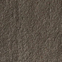 Braun Bouclé (ALPINE 15)