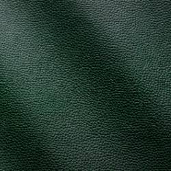 Waldgrün (Zenith Mastrotto Leather 9018)